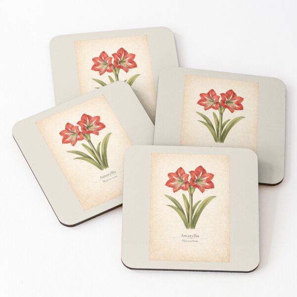 Item preview, Botanical Amaryllis – Hippeastrum | Vintage Christmas Flower Illustration designed and sold by Novel Works Studio.