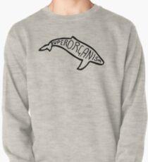 Superorganism indie sketch logo Pullover