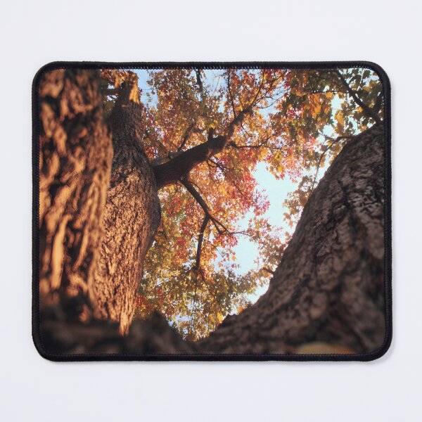 Item preview, Autumn maple  designed and sold by Newrealis.