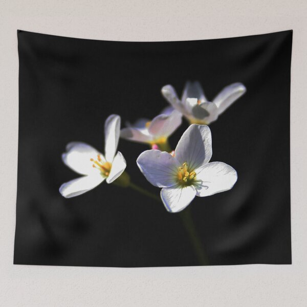 Item preview, Cardamine Pratensis Flowers designed and sold by Alan Harman.