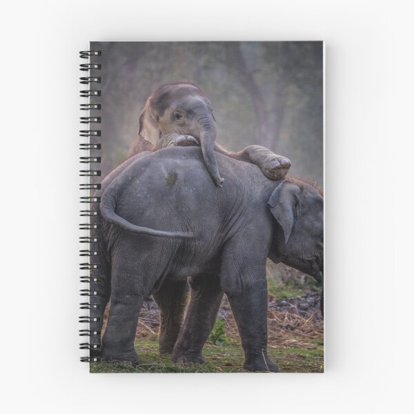 Item preview, Baby elephants. designed and sold by Mairi Fleck.