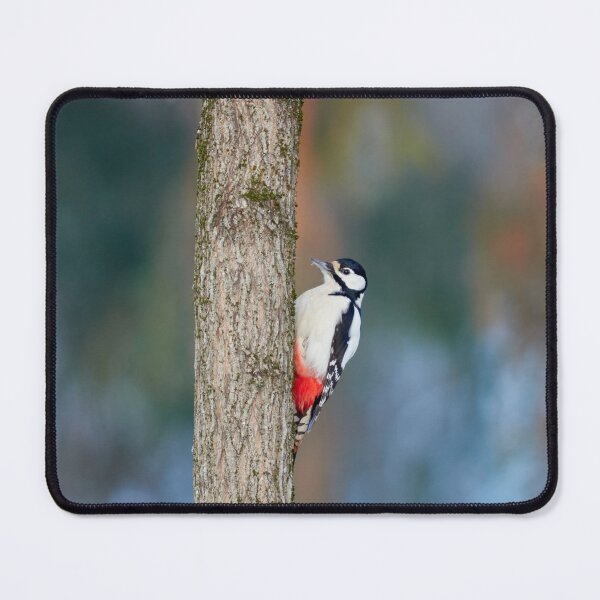 Item preview, In square, Great spotted woodpecker designed and sold by Jouko Lehto Photography.