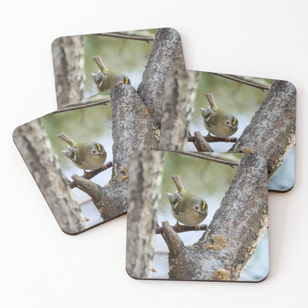 Item preview, Who is there. Goldcrest designed and sold by Jouko Lehto Photography.