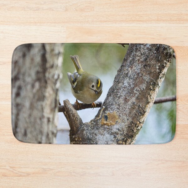 Item preview, Who is there. Goldcrest designed and sold by Jouko Lehto Photography.