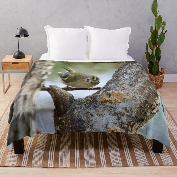 Item preview, Who is there. Goldcrest designed and sold by Jouko Lehto Photography.