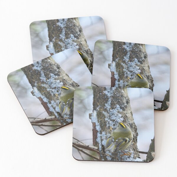 Item preview, Busy busy busy. Goldcrest designed and sold by Jouko Lehto Photography.