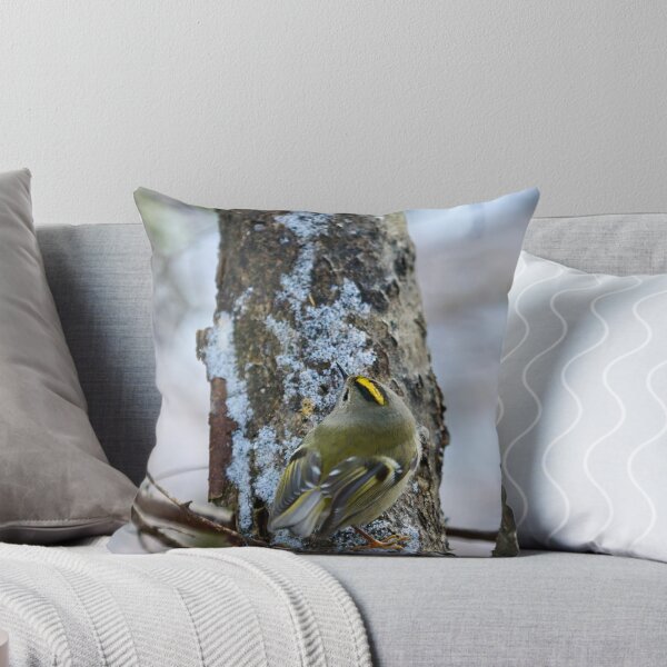 Item preview, Busy busy busy. Goldcrest designed and sold by Jouko Lehto Photography.