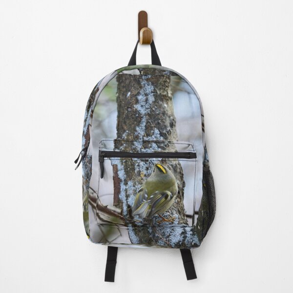 Item preview, Busy busy busy. Goldcrest designed and sold by Jouko Lehto Photography.
