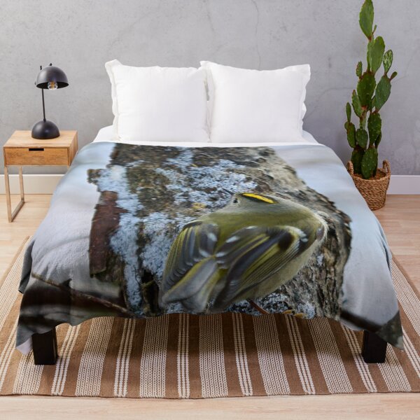 Item preview, Busy busy busy. Goldcrest designed and sold by Jouko Lehto Photography.