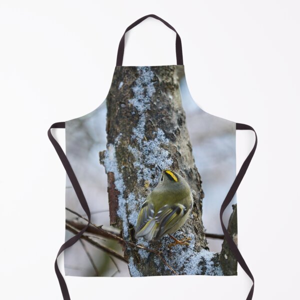 Item preview, Busy busy busy. Goldcrest designed and sold by Jouko Lehto Photography.