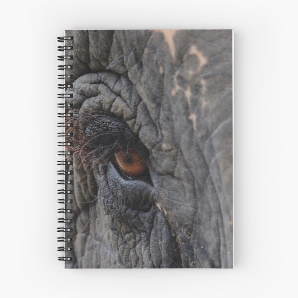 Item preview, Eye spy! designed and sold by Mairi Fleck.