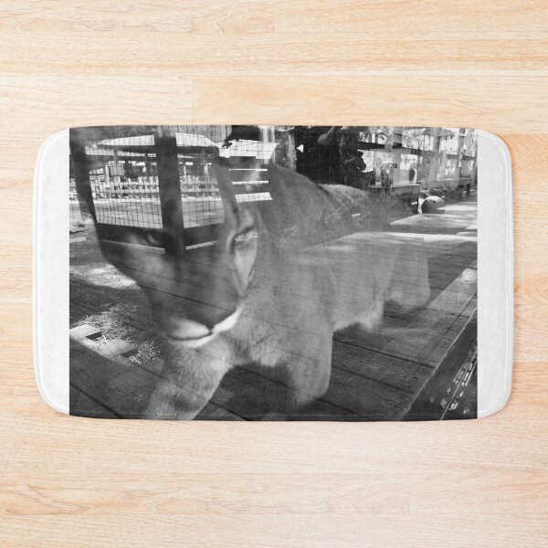 Item preview, Puma Behind Glass Reflection designed and sold by MercerImages.