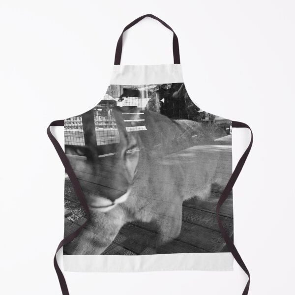 Item preview, Puma Behind Glass Reflection designed and sold by MercerImages.