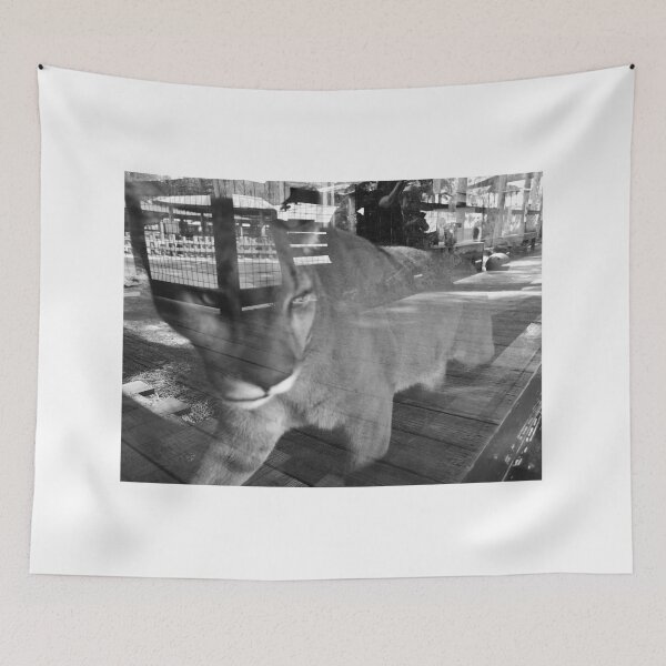 Item preview, Puma Behind Glass Reflection designed and sold by MercerImages.
