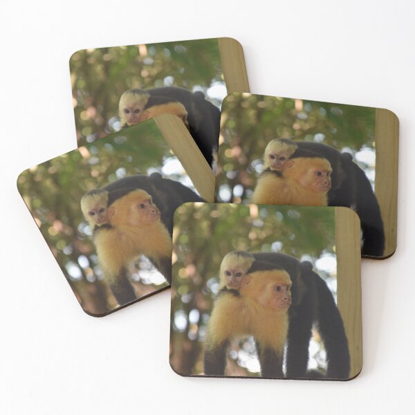 Item preview, Mother and Baby Capuchin Monkey – Costa Rica designed and sold by SBTS-Photos.