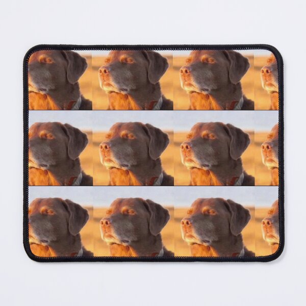 Item preview, Blissful Chocolate Lab in Sunset Glow – Serene Happy Dog Portrait designed and sold by TooRareForThis.