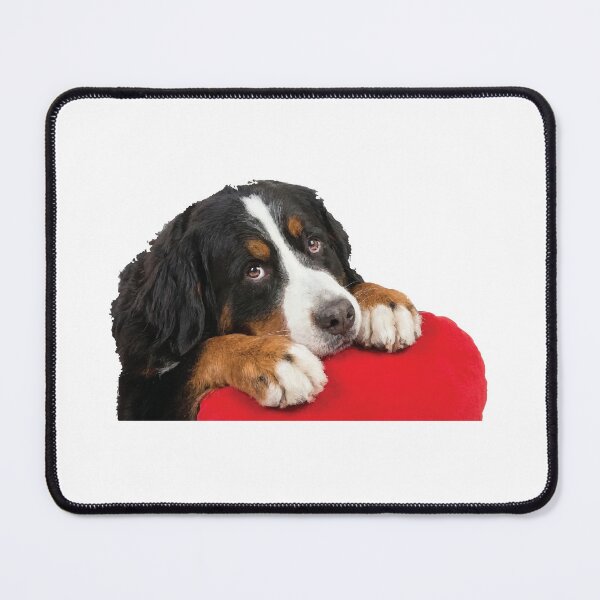 Item preview, Certified Velcro Dog Bernese Mountain Dog designed and sold by Petzzz.