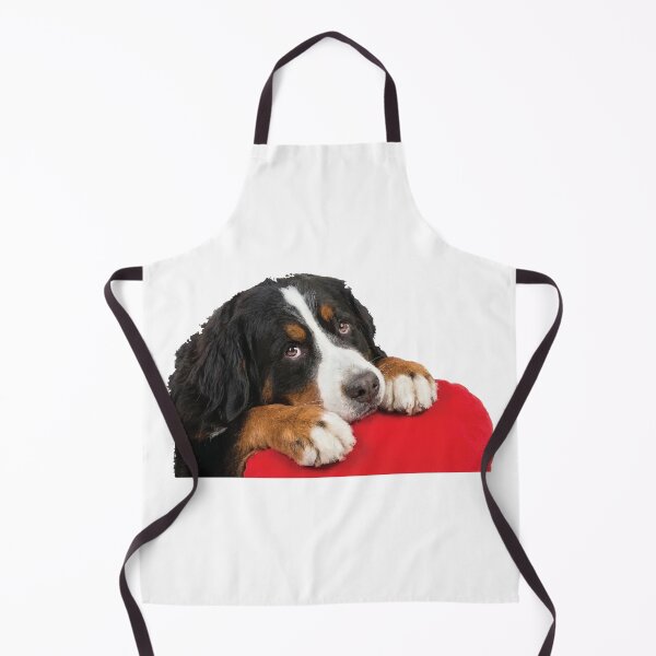 Item preview, Certified Velcro Dog Bernese Mountain Dog designed and sold by Petzzz.