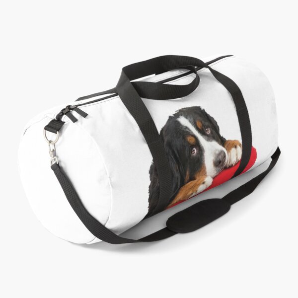 Item preview, Certified Velcro Dog Bernese Mountain Dog designed and sold by Petzzz.