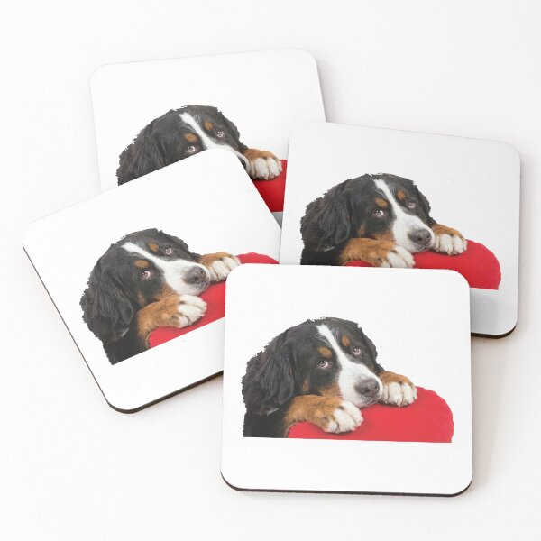 Item preview, Certified Velcro Dog Bernese Mountain Dog designed and sold by Petzzz.