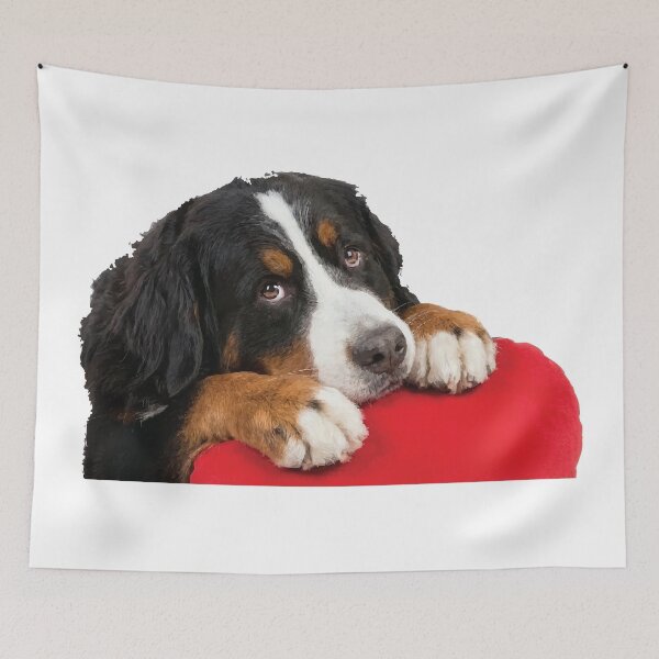 Item preview, Certified Velcro Dog Bernese Mountain Dog designed and sold by Petzzz.