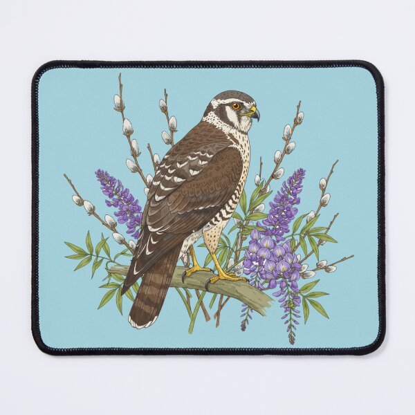 Item preview, Northern Harrier Botanical Bird designed and sold by BirdsnStuff.