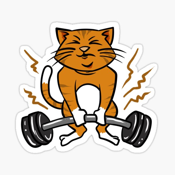 Cat Deadlift Stickers | Redbubble