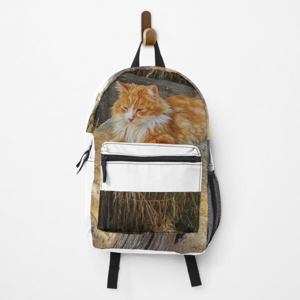 Item preview, Cozy Orange Cat Sunbathing on Stone Wall. designed and sold by Makaronia.