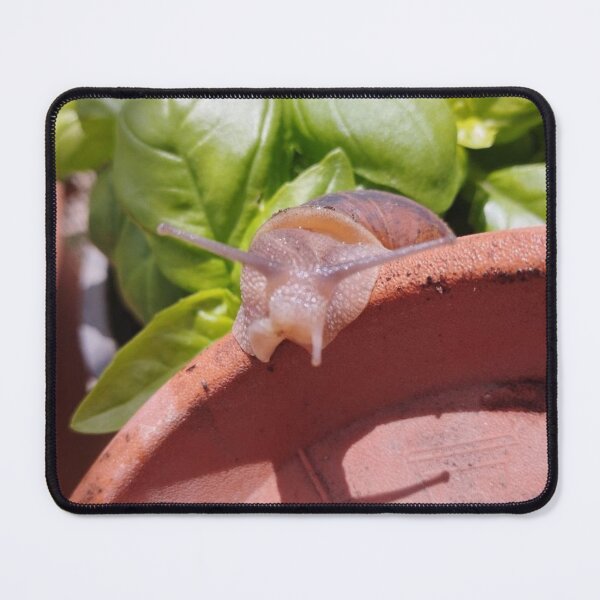 Item preview, Snail Garden designed and sold by moringuero.