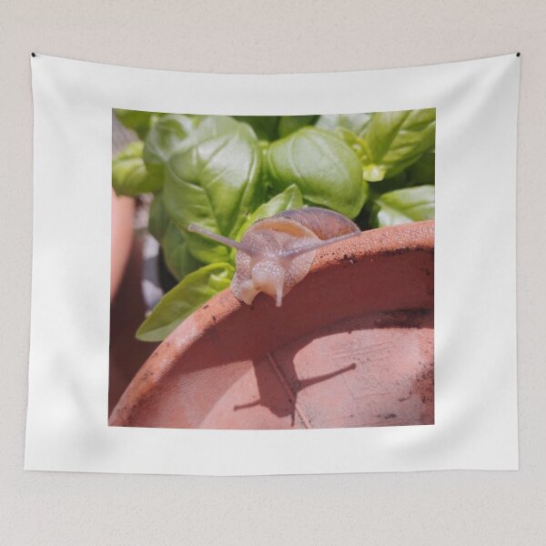Item preview, Snail Garden designed and sold by moringuero.