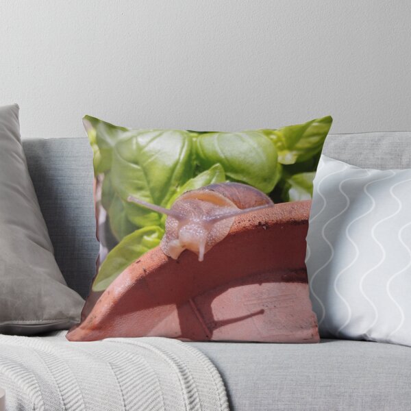 Item preview, Snail Garden designed and sold by moringuero.