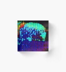 To Evolve Or Not Too Evolve Acrylic Block
