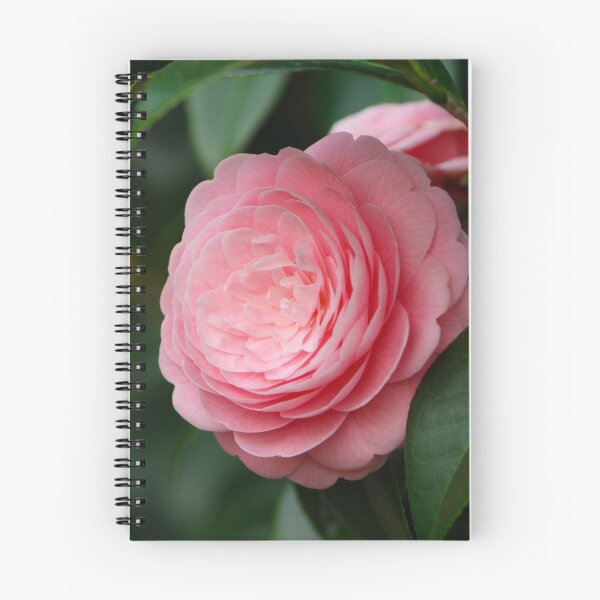 Item preview, Japanese Camellia - Minoh, Osaka, Japan designed and sold by Wesleyem3.