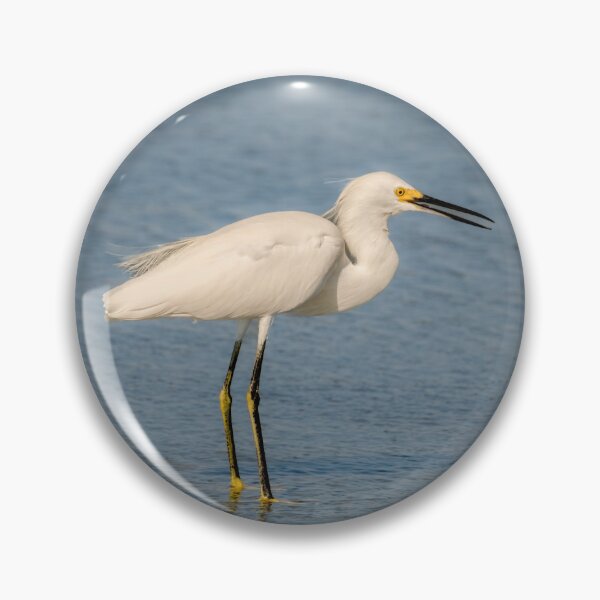 Item preview, Snowy Egret Clicking Its Beak designed and sold by Debra Martz.