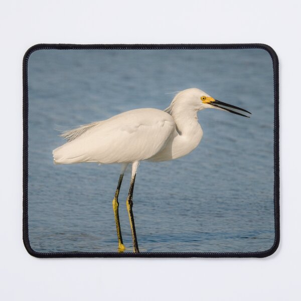 Item preview, Snowy Egret Clicking Its Beak designed and sold by Debra Martz.