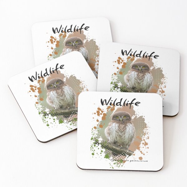 Item preview, Pygmy Owl – Wildlife | Nature & Animal Art designed and sold by Green Bird Design.