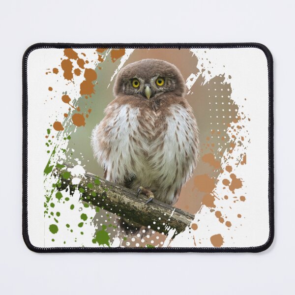Item preview, Pygmy Owl – Wildlife | Nature & Animal Art designed and sold by Green Bird Design.
