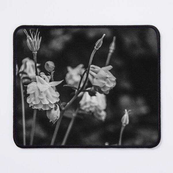 Item preview, Black and White Columbine Flower — Moody Garden Macro Photography designed and sold by aadventures.