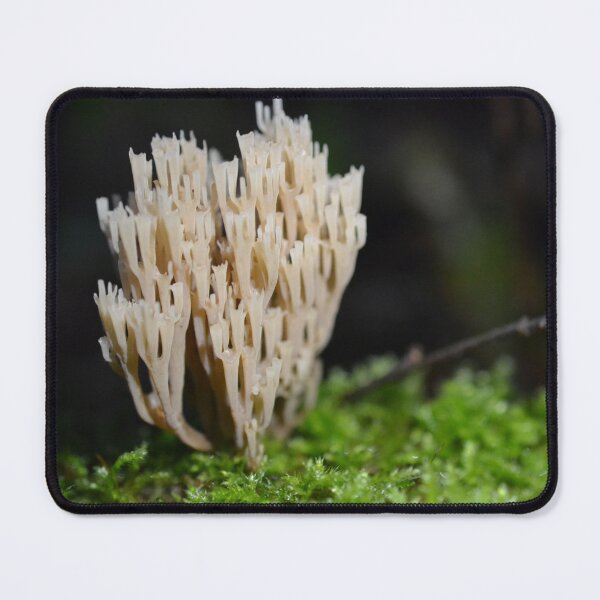 Item preview, Coral mushroom designed and sold by COBALTxSTRIKE.