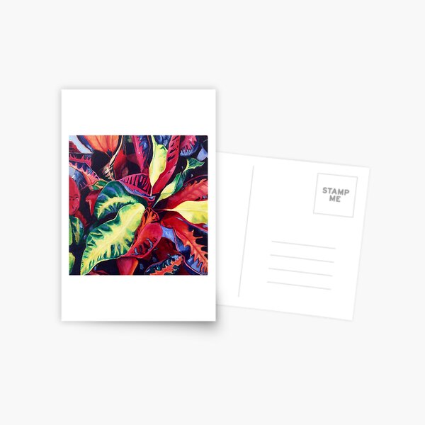 Kalidescope Postcard