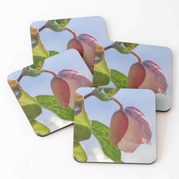 Item preview, pink flowerbud designed and sold by ccarrett.