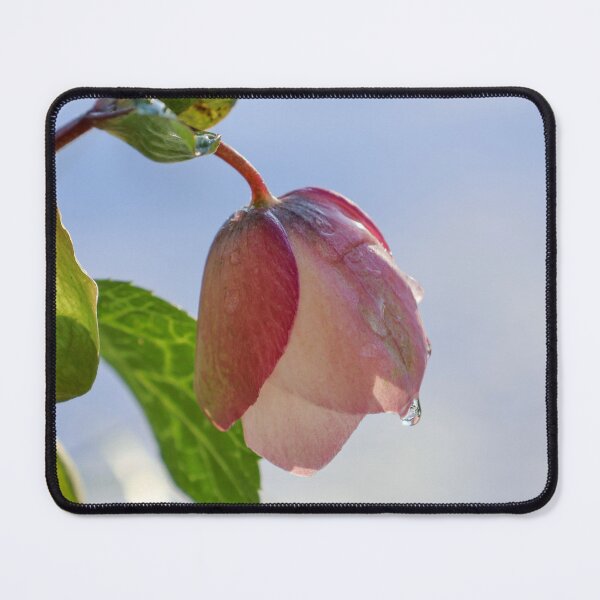 Item preview, pink flowerbud designed and sold by ccarrett.