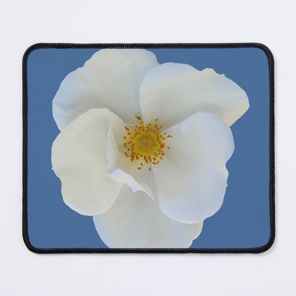 Item preview, White Flower designed and sold by Comfort-Station.