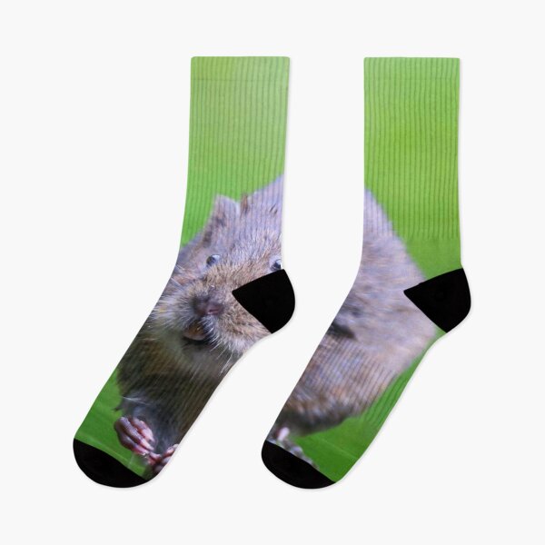 Item preview, Vole designed and sold by ontological.