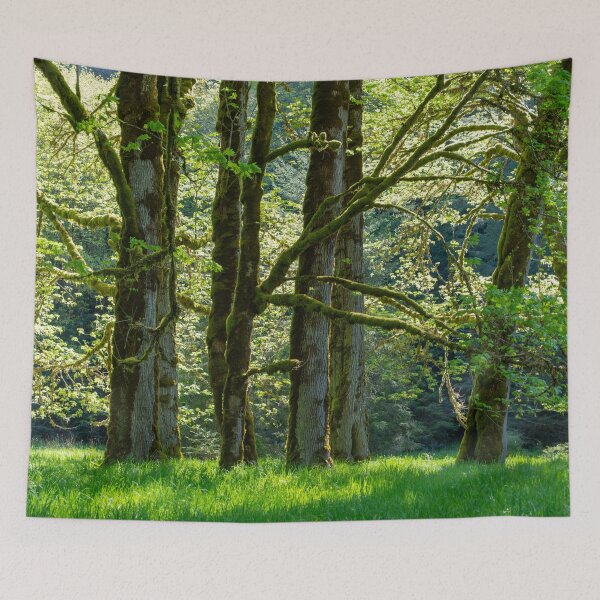 Item preview, Moss Forest designed and sold by TinyDinoDesigns.
