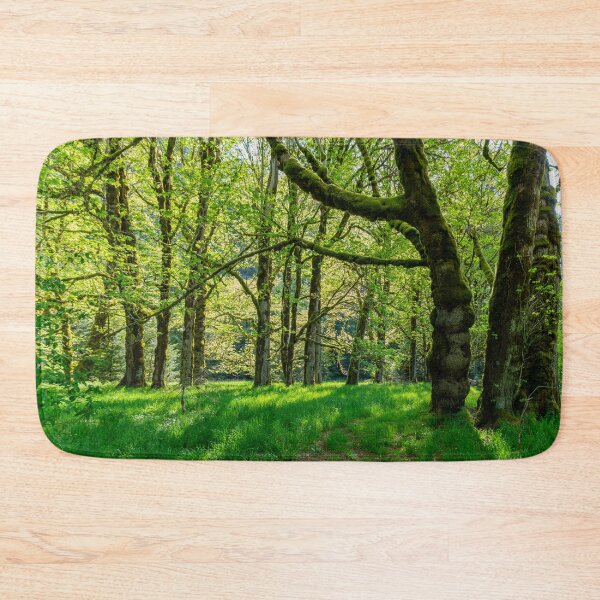 Item preview, Enter the Fairy Forest designed and sold by TinyDinoDesigns.
