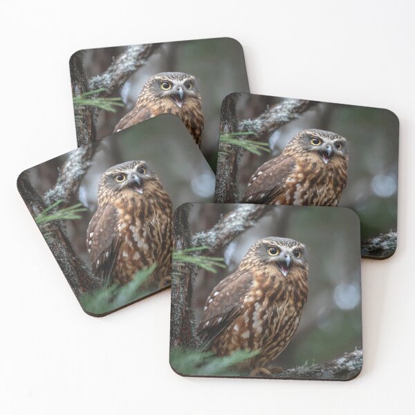Item preview, The Enigmatic Morepork Owl Sings designed and sold by Brendon987.