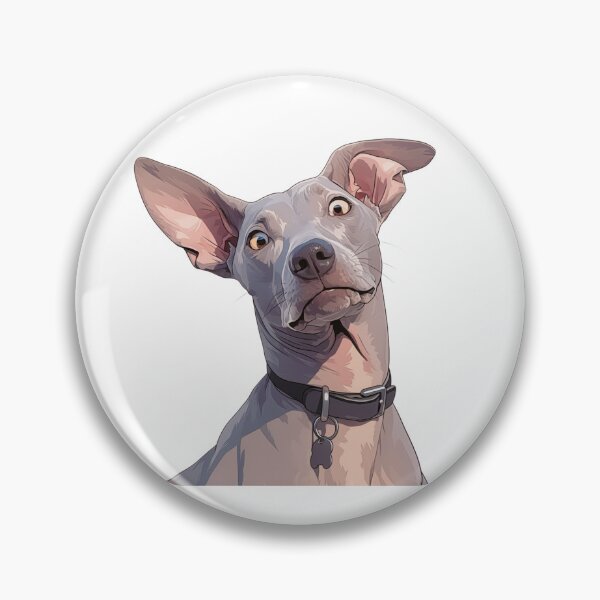 Item preview, American Hairless Terrier designed and sold by SMARTKIT  DESIGNAGENCY.