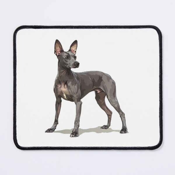 Item preview, American Hairless Terrier designed and sold by SMARTKIT  DESIGNAGENCY.