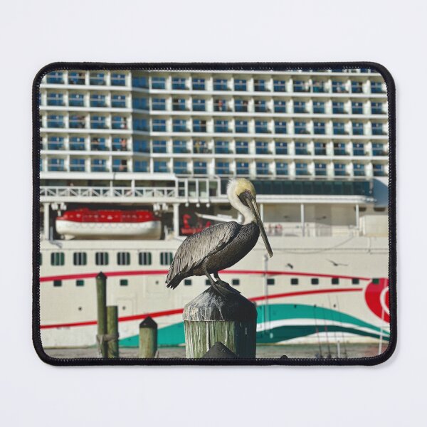 Item preview, Pelican and the Cruise Ship designed and sold by Easley-Does-It.